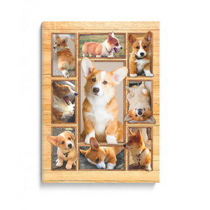 Corgi 3d Dog Canvas Gift For Corgi Dog Lovers Birthday Gift Home Decor 1645761117039.jpg