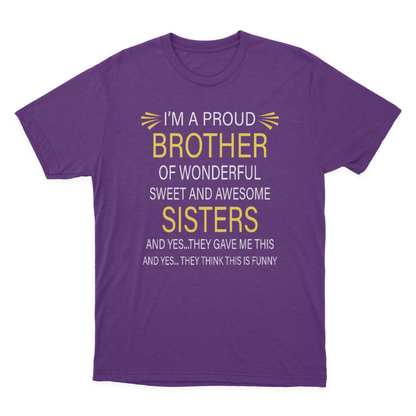 Brother Tee, Brother Tshirt, Brother Gift, Gift to Brother from Sisters, Brother T-shirt 1647849594543.png
