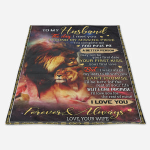 Best Valentine Gift For Husband Blanket The Day I Met You Lion, I Love You From Wife Home Decor Bedding Couch Sofa Soft And Comfy Cozy 1673938563023.jpg