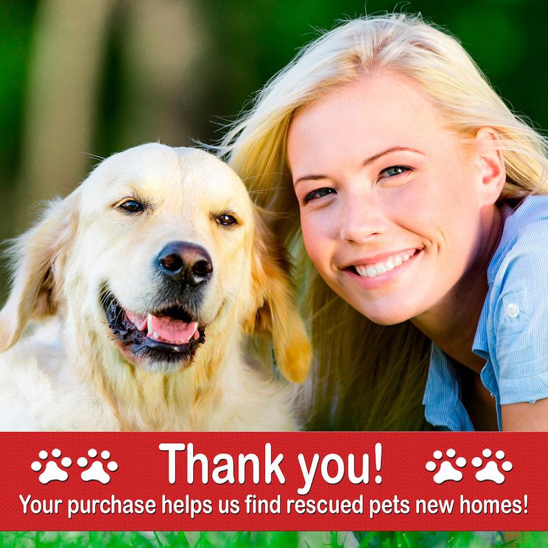 4x6 Picture Frames, Pet Memorial Frames, Pet Memorial Frame, Dog Memorial Frame, Dog Picture Frames, Pet Loss Gifts, Loss Of Pet 1678874660572.jpg