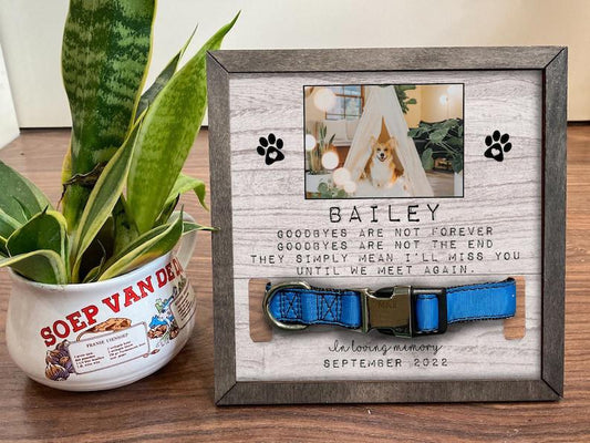 Memorial Pet Collar Sign, Dog Collar Memorial, Grave Ornaments, Pet Collar Holder, Memorial Standing Frame, Sympathy, Bereavement Gifts 1678874719801.jpg