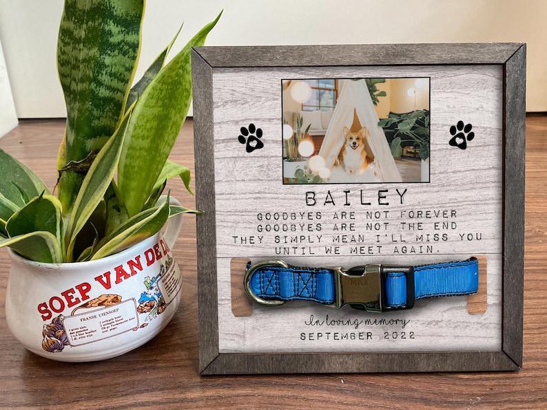 Memorial Pet Collar Sign, Dog Collar Memorial, Grave Ornaments, Pet Collar Holder, Memorial Standing Frame, Sympathy, Bereavement Gifts 1678874719801.jpg