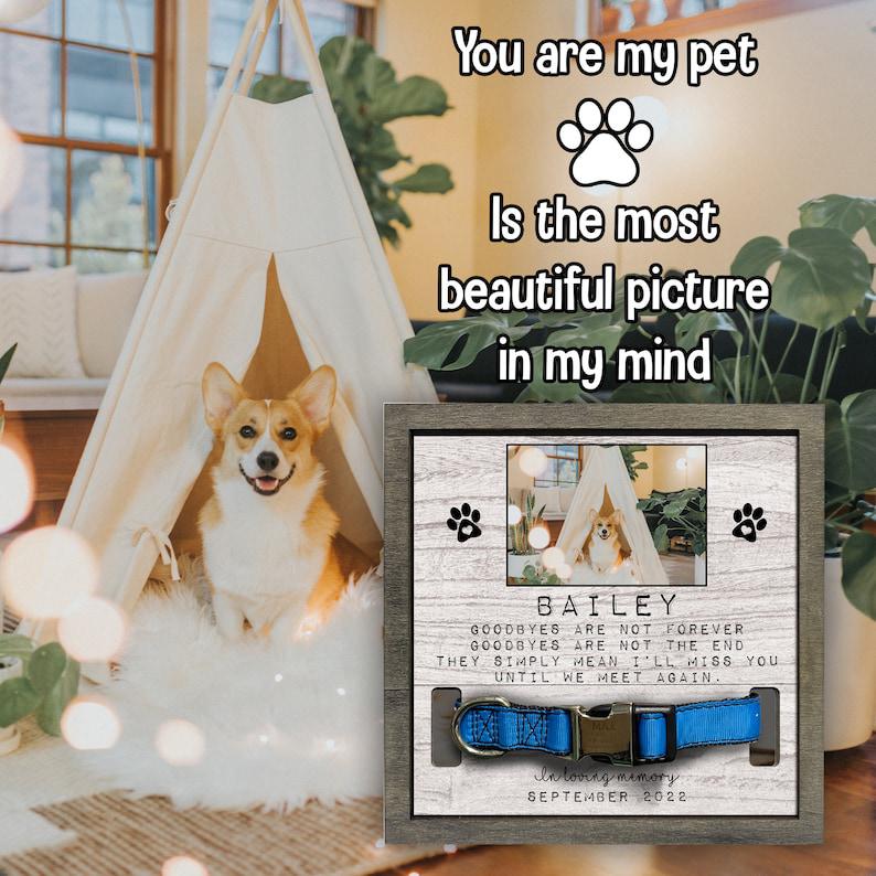 Memorial Pet Collar Sign, Dog Collar Memorial, Grave Ornaments, Pet Collar Holder, Memorial Standing Frame, Sympathy, Bereavement Gifts 1678874721838.jpg