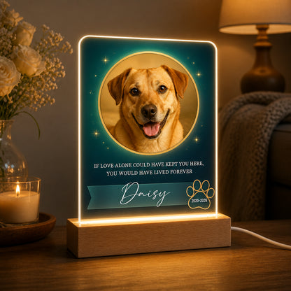 Custom Pet Memorial Photo Acrylic Night Light - Personalized Acrylic Night Light 16a0af59-ad82-463c-a772-84d708555a45.jpg