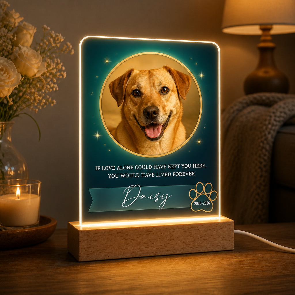 Custom Pet Memorial Photo Acrylic Night Light - Personalized Acrylic Night Light 16a0af59-ad82-463c-a772-84d708555a45.jpg