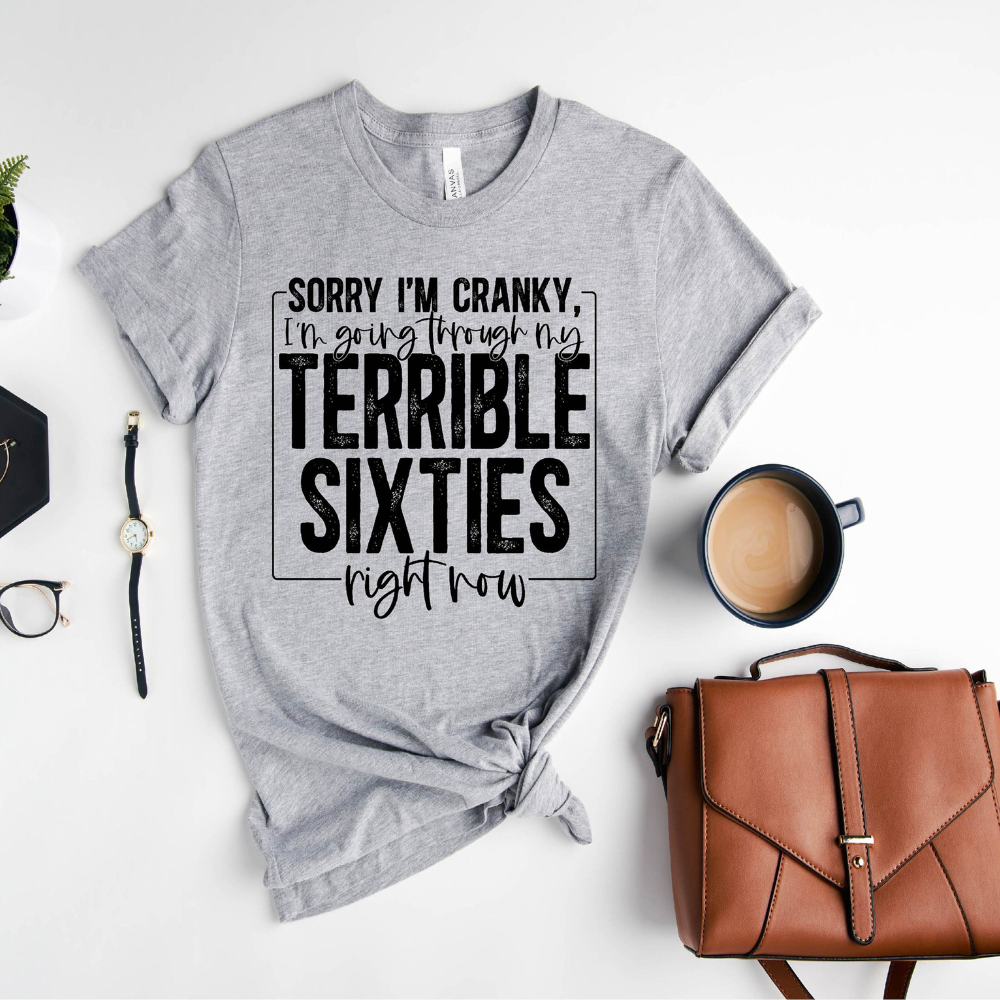 Im Going Through My Terrible Sixties Right Now 60th Birthday Shirt Gift For Family Friends 1716522734116.png