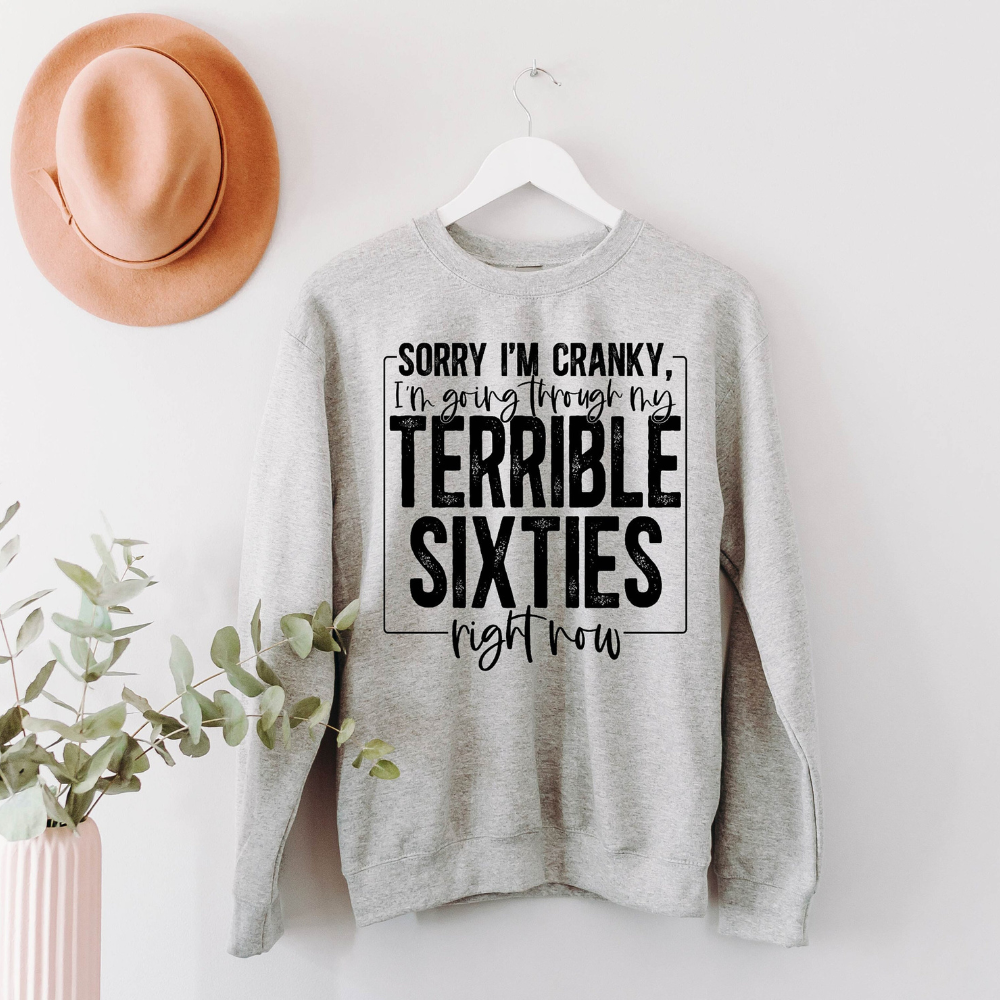 Im Going Through My Terrible Sixties Right Now 60th Birthday Shirt Gift For Family Friends 1716522734782.png