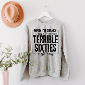 Im Going Through My Terrible Sixties Right Now 60th Birthday Shirt Gift For Family Friends 1716522734782.png