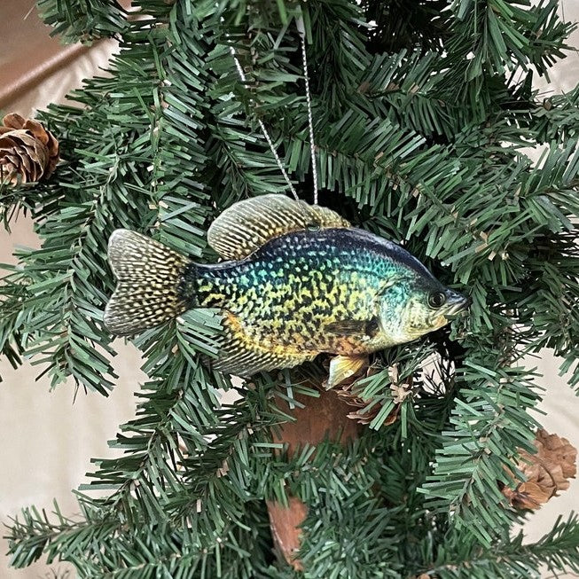 crappie fish ornament realistic christmas fish ornaments 1726285261945.jpg