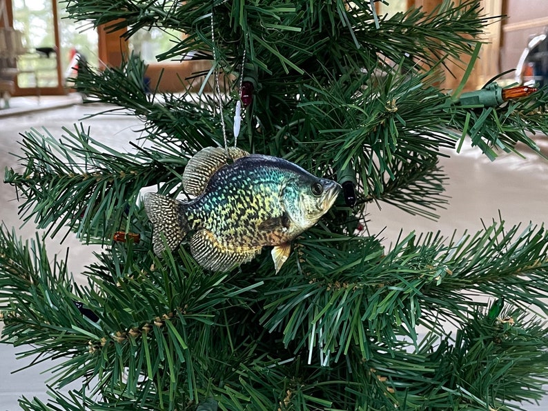 crappie fish ornament realistic christmas fish ornaments 1726285261952.jpg