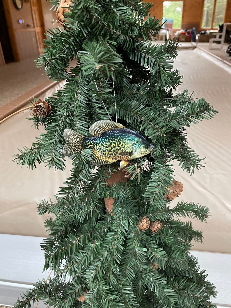 crappie fish ornament realistic christmas fish ornaments 1726285262006.jpg