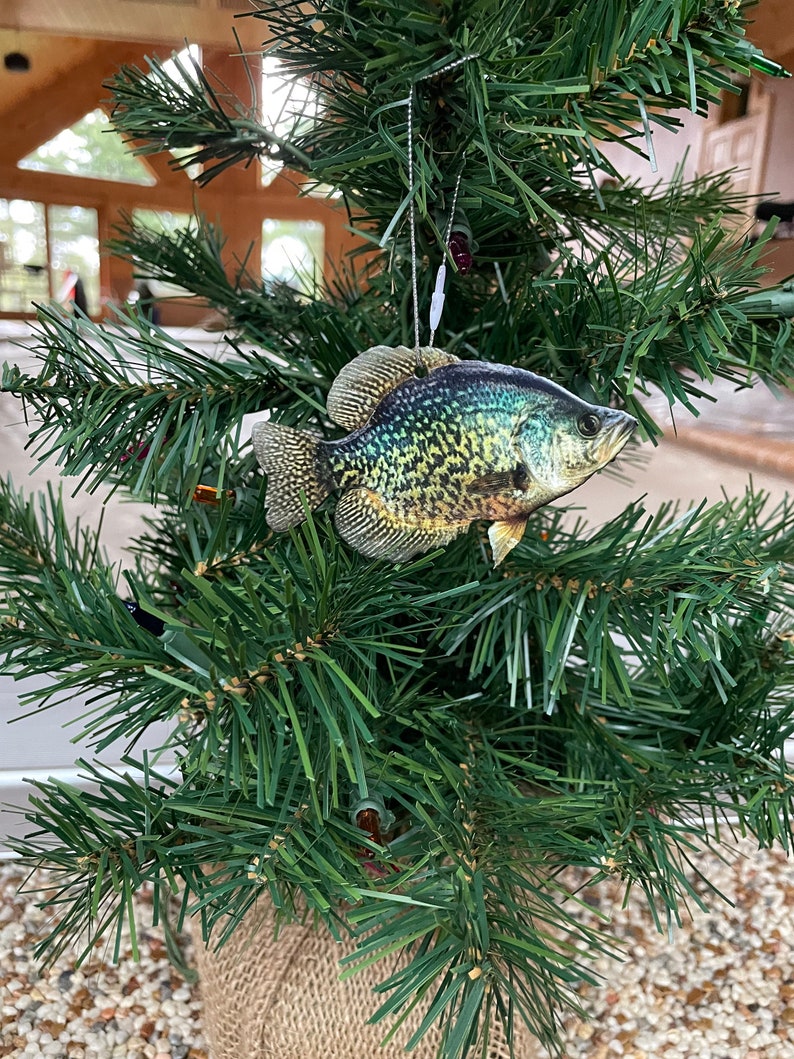 crappie fish ornament realistic christmas fish ornaments 1726285262525.jpg