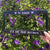 be happy license plate frame cute car accessories kawaii pink car decor positive plate cover gag gift car girl quote accessory 1730426402106.jpg