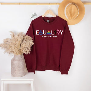 equality hurts no one sweatshirt equal rights hoodie lgbtq sweatshirt rainbow hoodie human rights shirt blm shirt social justice shirt 1739334718085.jpg