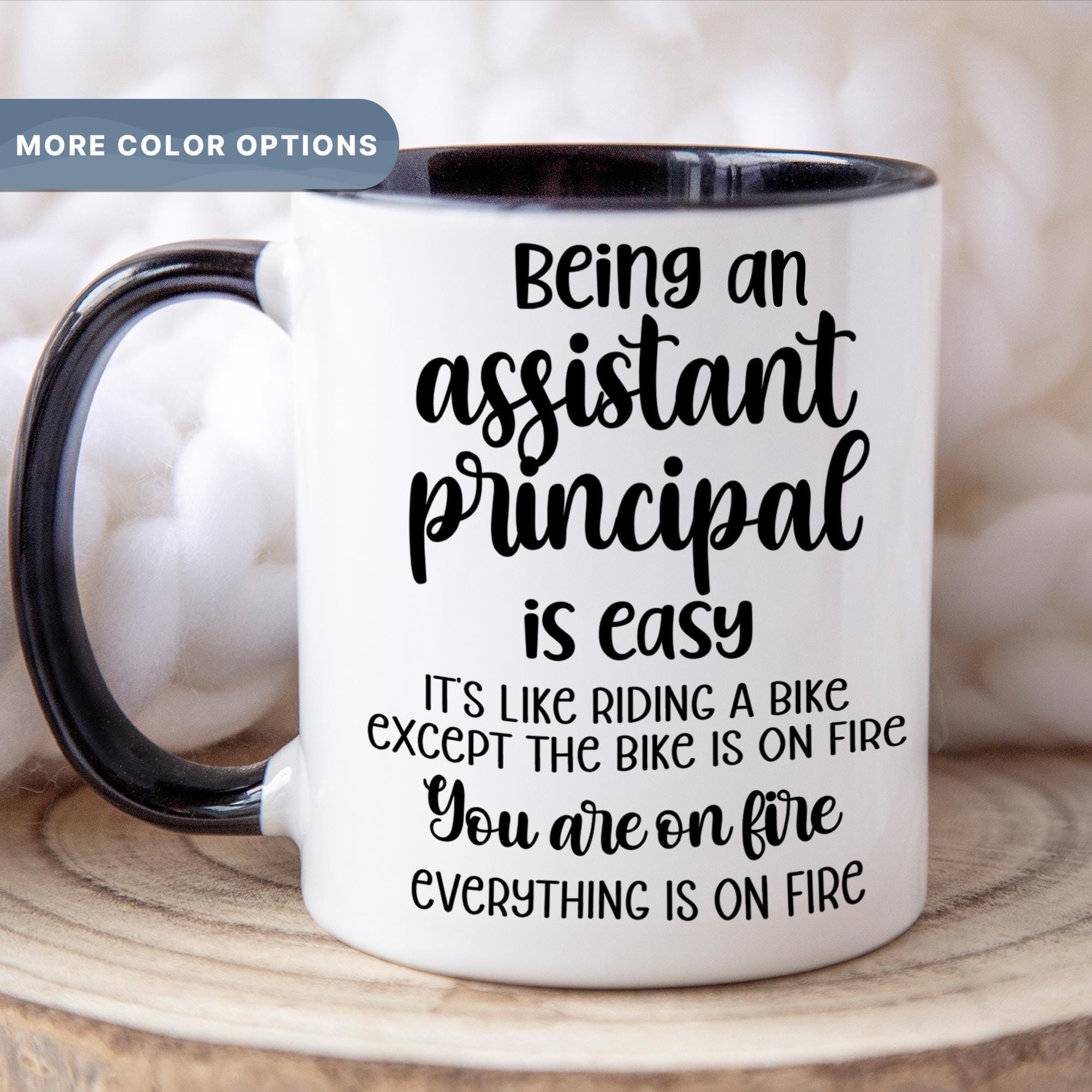 funny assistant principal mug appreciation gift for assistant principal back to school gift for assistant principal 1745468484806.jpg
