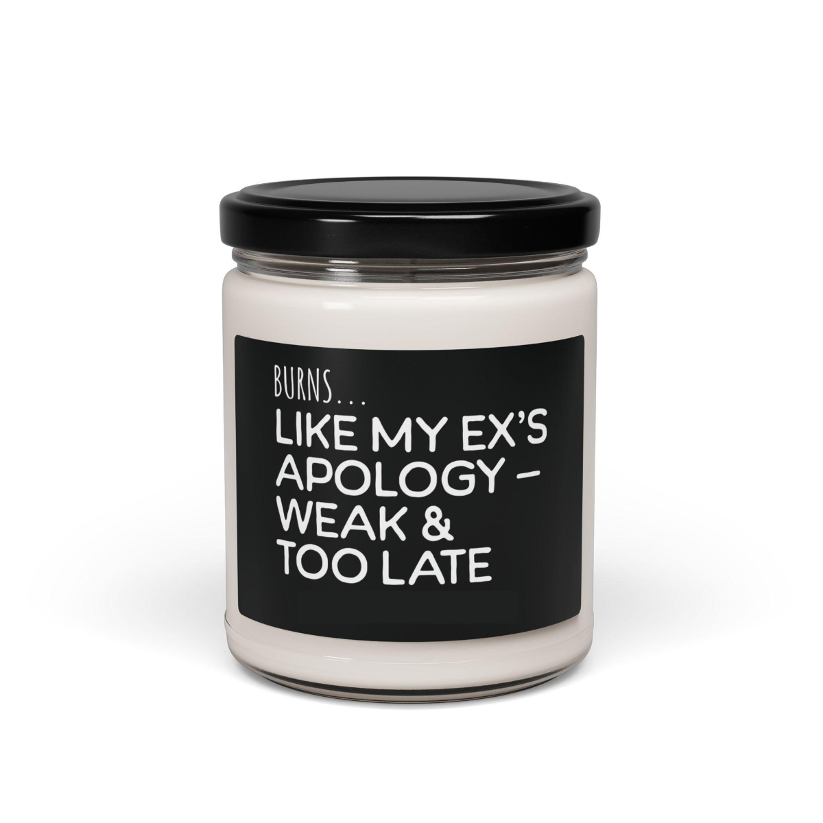 funny burns like my exs apology candle   breakup gift for her divorce gag gift sassy soy candle for best friend petty ex gift 1746593331041.png