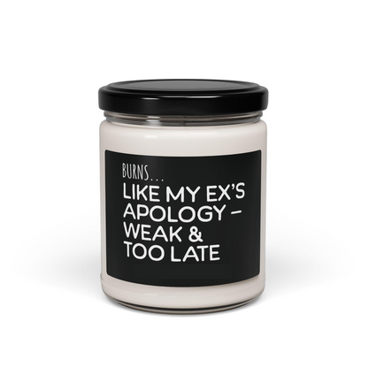 funny burns like my exs apology candle   breakup gift for her divorce gag gift sassy soy candle for best friend petty ex gift 1746593331041.png