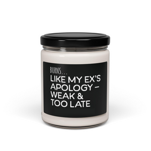 funny burns like my exs apology candle   breakup gift for her divorce gag gift sassy soy candle for best friend petty ex gift 1746593331041.png