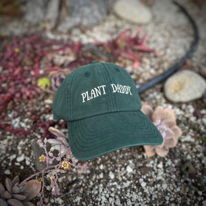 Plant Daddy Hat Dad Hat For Plant Lover Baseball Cap For Gardener Gift Ideas Botanical Accessories Gifts For Plant Lovers Dad Gifts For Dads 1748406503662.jpg