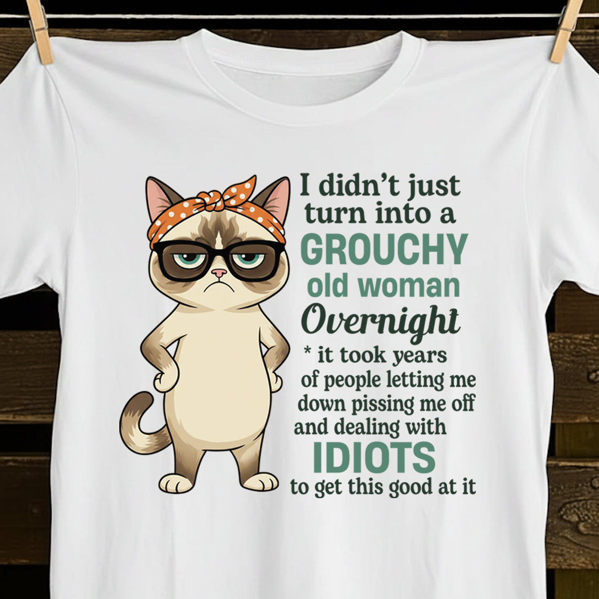 Grumpy Cat Shirt Grouchy Old Woman Overnight Funny Quote Tee Sassy Humor Graphic T Shirt 1758341145055.jpg