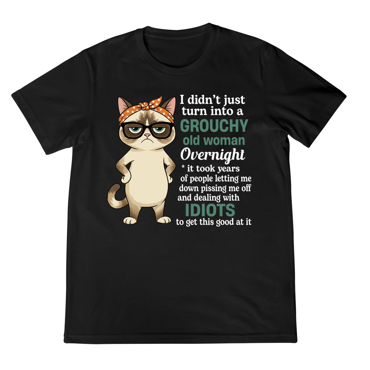 Grumpy Cat Shirt Grouchy Old Woman Overnight Funny Quote Tee Sassy Humor Graphic T Shirt 1758341173136.jpg
