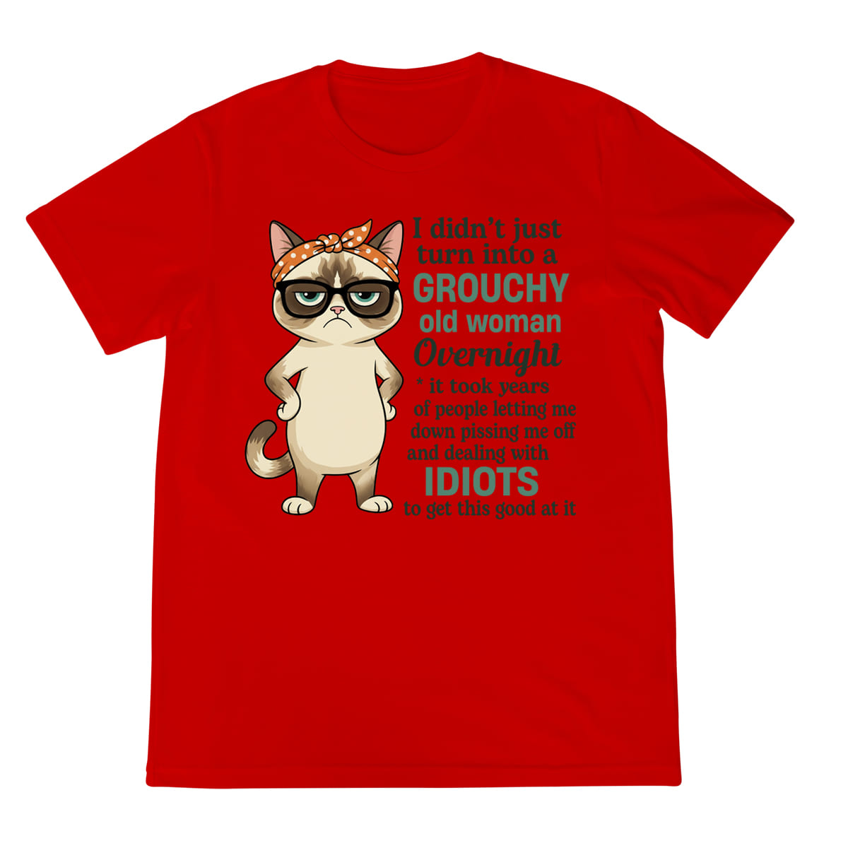 Grumpy Cat Shirt Grouchy Old Woman Overnight Funny Quote Tee Sassy Humor Graphic T Shirt 1758341173279.jpg