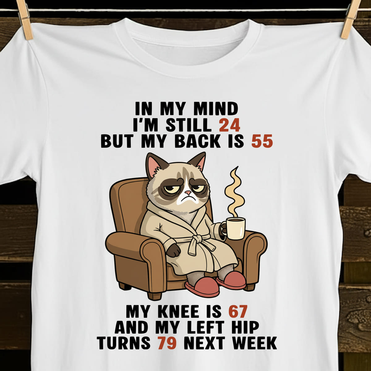 Funny Old Age Shirt Grumpy Cat Graphic Tee Aging Body Joke T Shirt For Men  Women 1758341888799.jpg