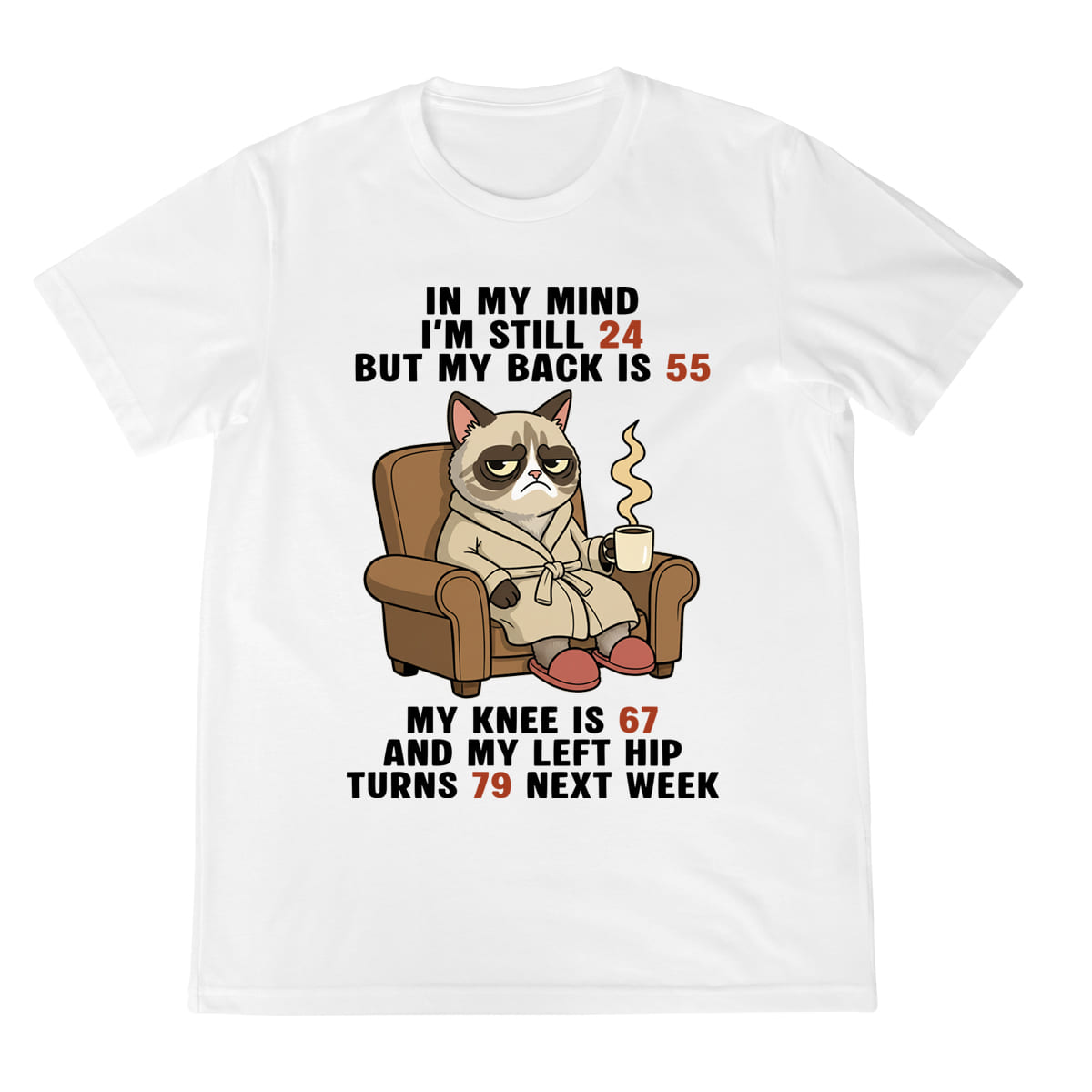 Funny Old Age Shirt Grumpy Cat Graphic Tee Aging Body Joke T Shirt For Men  Women 1758341913708.jpg