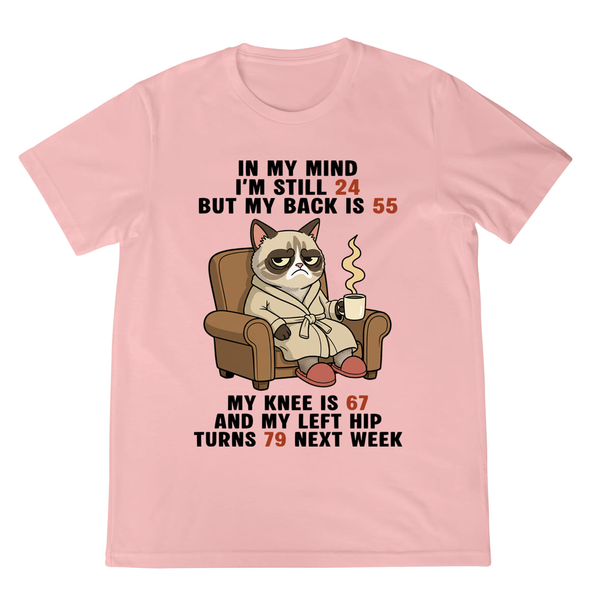 Funny Old Age Shirt Grumpy Cat Graphic Tee Aging Body Joke T Shirt For Men  Women 1758341914159.jpg