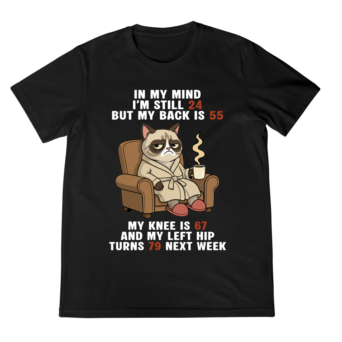 Funny Old Age Shirt Grumpy Cat Graphic Tee Aging Body Joke T Shirt For Men  Women 1758341914189.jpg