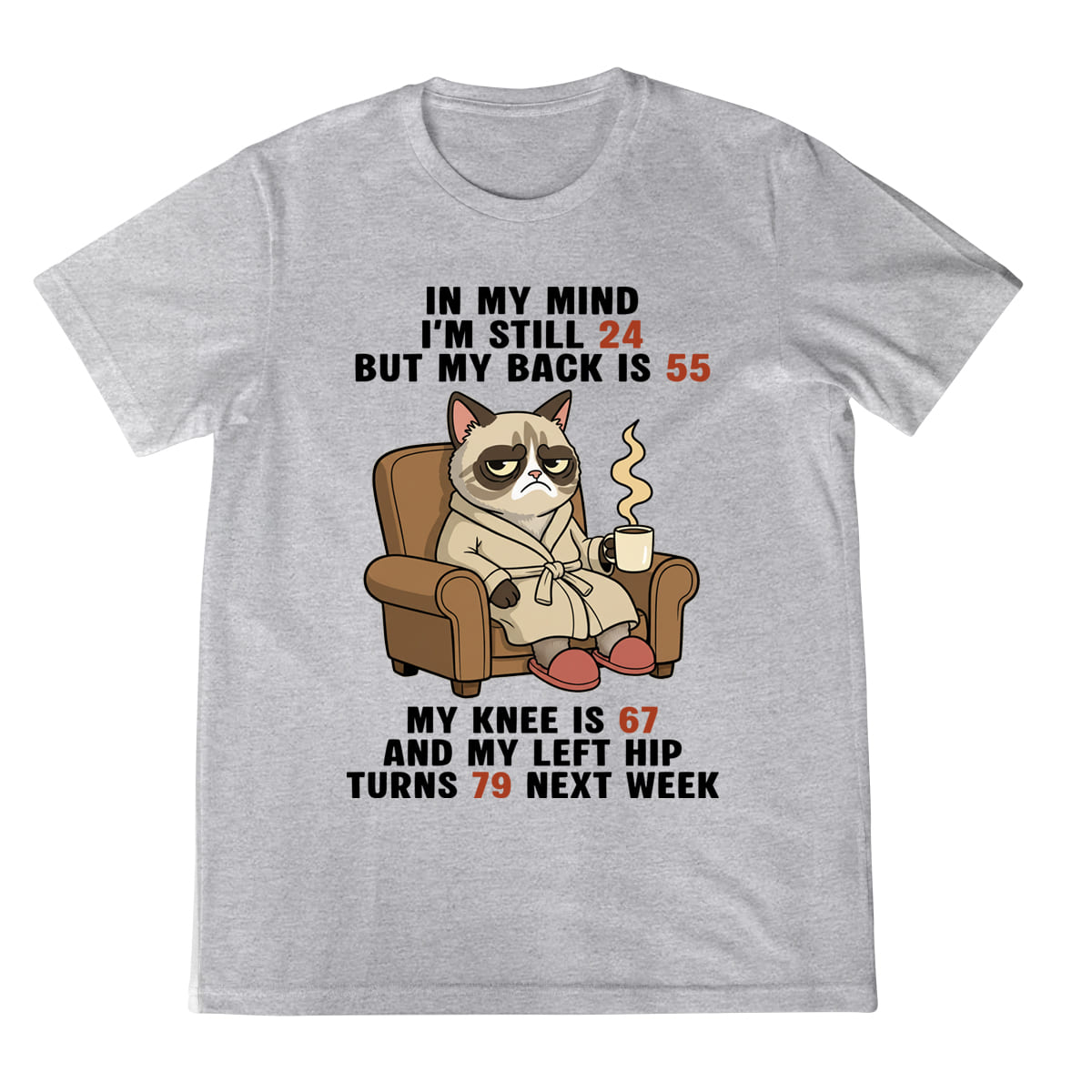 Funny Old Age Shirt Grumpy Cat Graphic Tee Aging Body Joke T Shirt For Men  Women 1758341914386.jpg