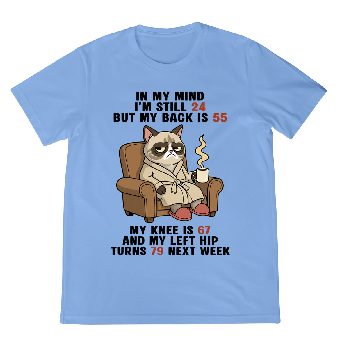 Funny Old Age Shirt Grumpy Cat Graphic Tee Aging Body Joke T Shirt For Men  Women 1758341914841.jpg