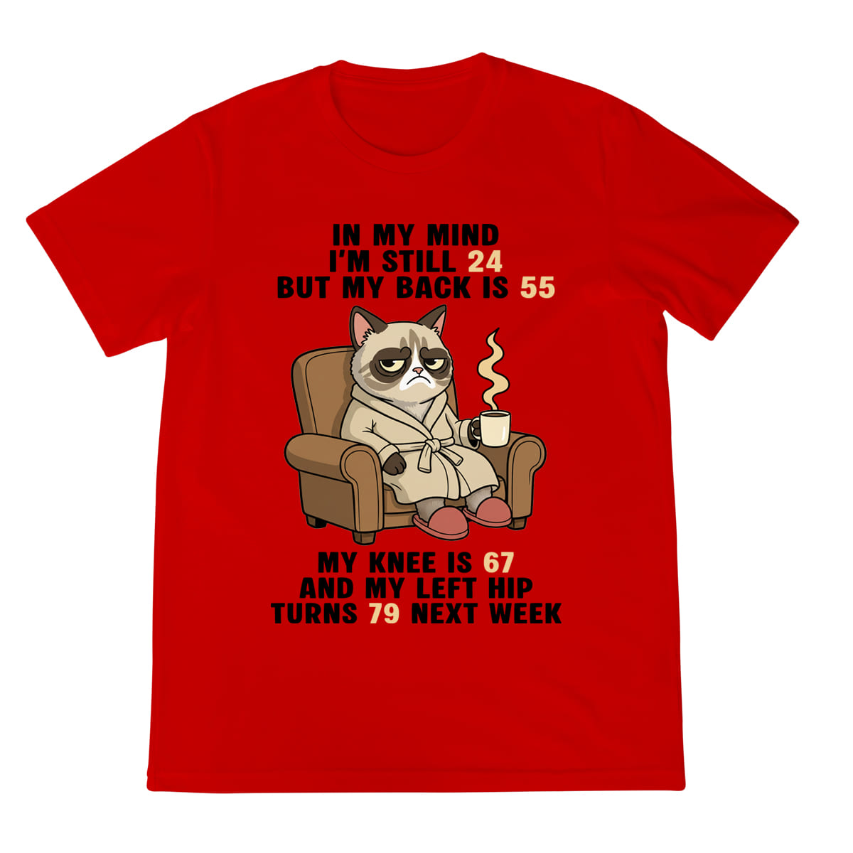Funny Old Age Shirt Grumpy Cat Graphic Tee Aging Body Joke T Shirt For Men  Women 1758341914904.jpg