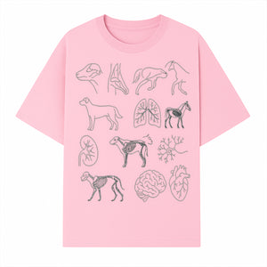 Pet Anatomy Art Print, Dog and Horse Skeleton Illustrations, Veterinary Wall Decor, Educational Animal Anatomy Poster - T-shirt 1758347437806.jpg