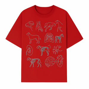 Pet Anatomy Art Print, Dog and Horse Skeleton Illustrations, Veterinary Wall Decor, Educational Animal Anatomy Poster - T-shirt 1758347438181.jpg