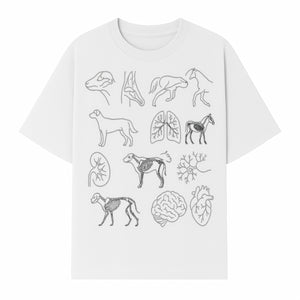 Pet Anatomy Art Print, Dog and Horse Skeleton Illustrations, Veterinary Wall Decor, Educational Animal Anatomy Poster - T-shirt 1758347438480.jpg