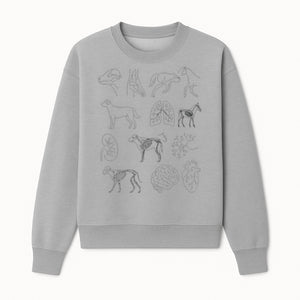 Pet Anatomy Art Print, Dog and Horse Skeleton Illustrations, Veterinary Wall Decor, Educational Animal Anatomy Poster - Sweatshirt 1758347439921.jpg