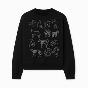 Pet Anatomy Art Print, Dog and Horse Skeleton Illustrations, Veterinary Wall Decor, Educational Animal Anatomy Poster - Sweatshirt 1758347440052.jpg