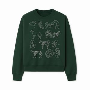 Pet Anatomy Art Print, Dog and Horse Skeleton Illustrations, Veterinary Wall Decor, Educational Animal Anatomy Poster - Sweatshirt 1758347440327.jpg