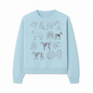 Pet Anatomy Art Print, Dog and Horse Skeleton Illustrations, Veterinary Wall Decor, Educational Animal Anatomy Poster - Sweatshirt 1758347440569.jpg