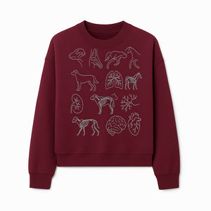 Pet Anatomy Art Print, Dog and Horse Skeleton Illustrations, Veterinary Wall Decor, Educational Animal Anatomy Poster - Sweatshirt 1758347440825.jpg