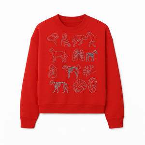 Pet Anatomy Art Print, Dog and Horse Skeleton Illustrations, Veterinary Wall Decor, Educational Animal Anatomy Poster - Sweatshirt 1758347441054.jpg
