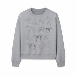 Pet Anatomy Art Print, Dog and Horse Skeleton Illustrations, Veterinary Wall Decor, Educational Animal Anatomy Poster - Sweatshirt 1758347441228.jpg