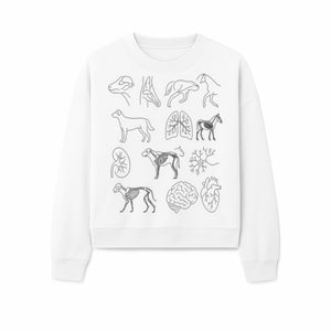 Pet Anatomy Art Print, Dog and Horse Skeleton Illustrations, Veterinary Wall Decor, Educational Animal Anatomy Poster - Sweatshirt 1758347441366.jpg