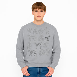 Pet Anatomy Art Print, Dog and Horse Skeleton Illustrations, Veterinary Wall Decor, Educational Animal Anatomy Poster - Sweatshirt 1758347442498.jpg