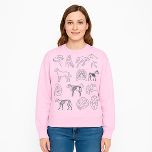 Pet Anatomy Art Print, Dog and Horse Skeleton Illustrations, Veterinary Wall Decor, Educational Animal Anatomy Poster - Sweatshirt 1758347442641.jpg
