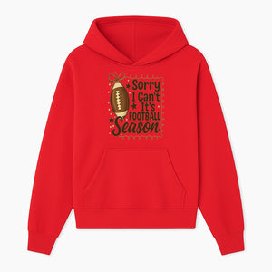 Sorry I Can t, It s Football Season Sign - Fun Home D cor for Football Fans - Autumn and Game Day Decoration - Hoodie 1758559971698.jpg