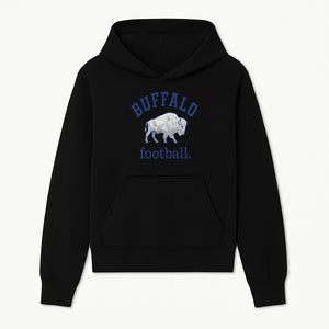 Buffalo Football Graphic T-Shirt, Geometric Bison Design, Sport Team Apparel, Casual Wear, Gift for Fans, Blue and White Themes - Hoodie 1758559975850.jpg