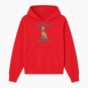 Sundays Are for Dogs & Football Graphic Tee - Perfect Dog Lover Gift for Game Day and Pet Enthusiasts - Hoodie 1758559990750.jpg