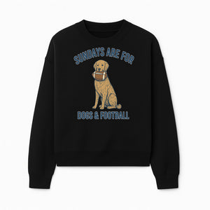 Sundays Are for Dogs & Football Graphic Tee - Perfect Dog Lover Gift for Game Day and Pet Enthusiasts - Sweatshirt 1758559995447.jpg